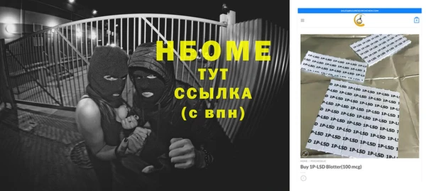 стаф Снежногорск