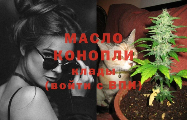 стаф Снежногорск