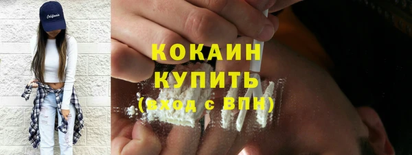стаф Снежногорск