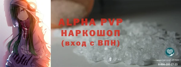 стаф Снежногорск